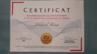 AFEST Certificat Daniel RIEU Artech Fotrmation